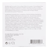 ジェーンアイルデール コレクティブ カラー キット (4x コンシーラー + 1x アプリケーター) 9.9g/0.35oz