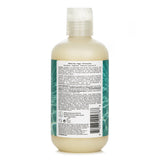 アールアンドシーオー  アトランティス モイスチャライジング B5 シャンプー   241ml/8.5oz