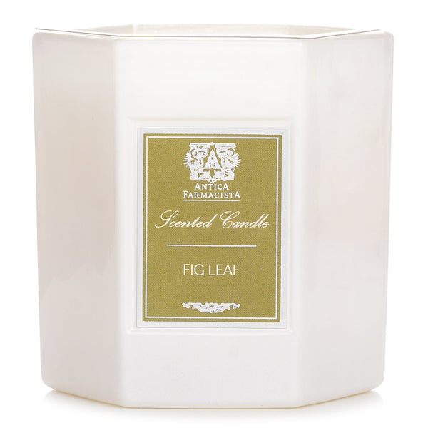 アンティカファルマシスタ  キャンドル - フィグリーフ   255g/9oz