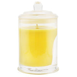 グラスハウス  Triple Scented Soy Candle - A Tahaa Affair (Vanilla Caramel)   60g/2.1oz