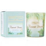 キャンドル・キャロル&チャン  100% Beeswax Votive Candle - Tropical Forest   65g/2.3oz