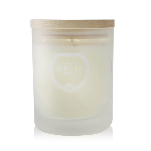 ランプベルジェ  Scented Candle - Aroma D-Stress   180g/6.3oz