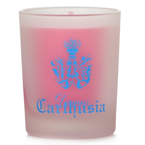 カルトゥージア  Scented Candle - Gemme di Sole   70g/2.46oz