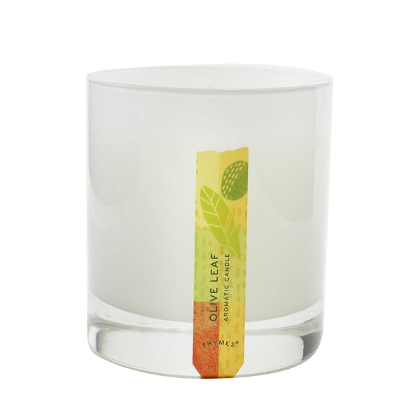 タイムズ  Aromatic Candle - Olive Leaf   212g/7.5oz