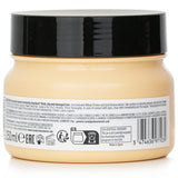 ロレアル  Professionnel Serie Expert - Absolut Repair Gold Quinoa + Protein Instant Resurfacing Mask (For Dry and Damaged Hair)   250ml/8.5oz