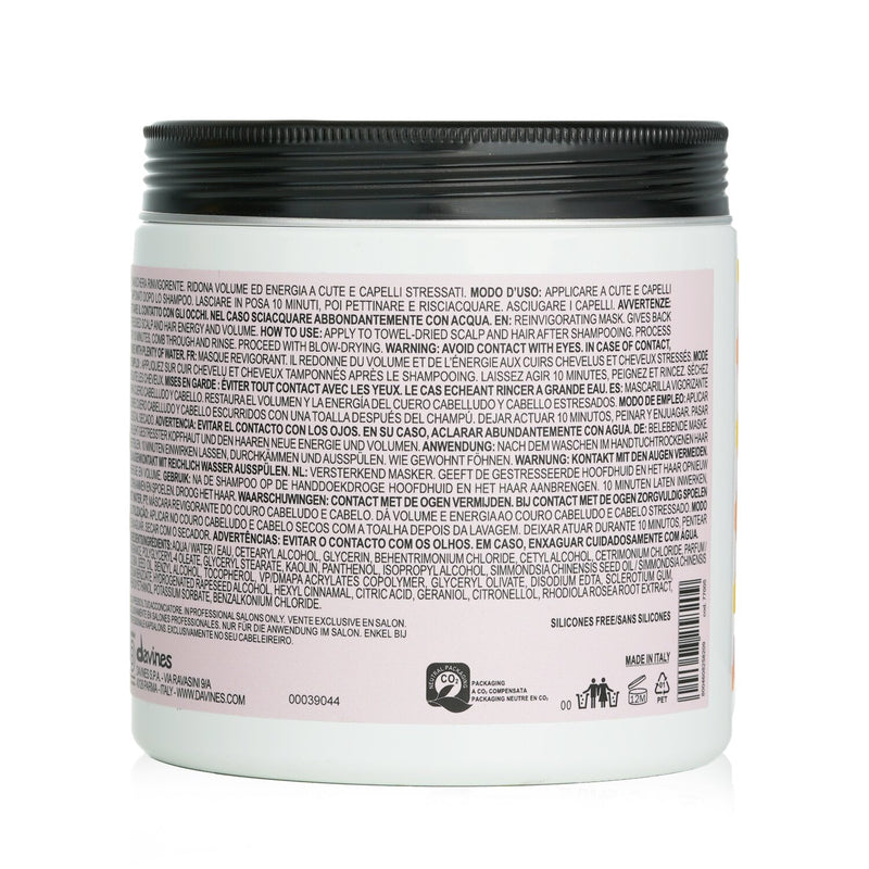 ダヴィネス  The Wake Up Circle Hair And Scalp Day After Recovery Mask (Salon Size)   750ml/26.62oz