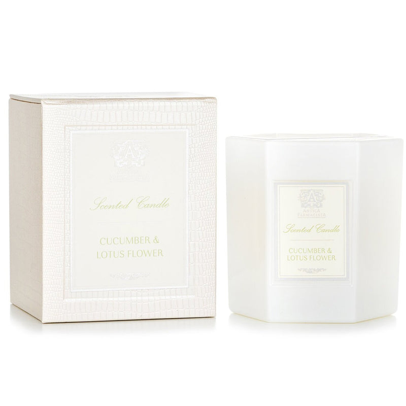 アンティカファルマシスタ  Candle - Cucumber & Lotus Flower   255g/9oz