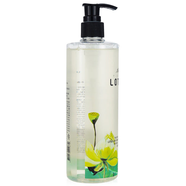 THE PURE LOTUS  Lotus Leaf Shampoo - For Oily Scalp   420ml