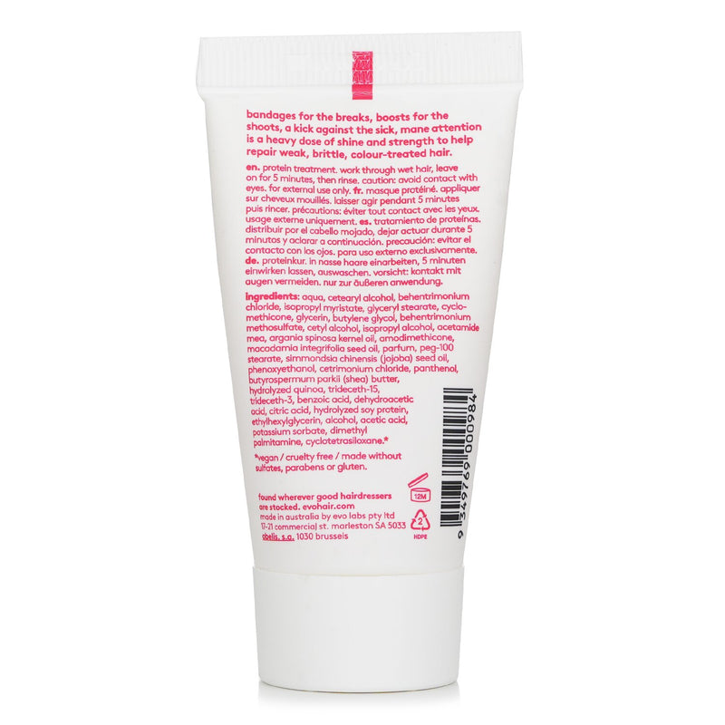 イーヴォ  Mane Attention Protein Treatment   30ml/1.1oz