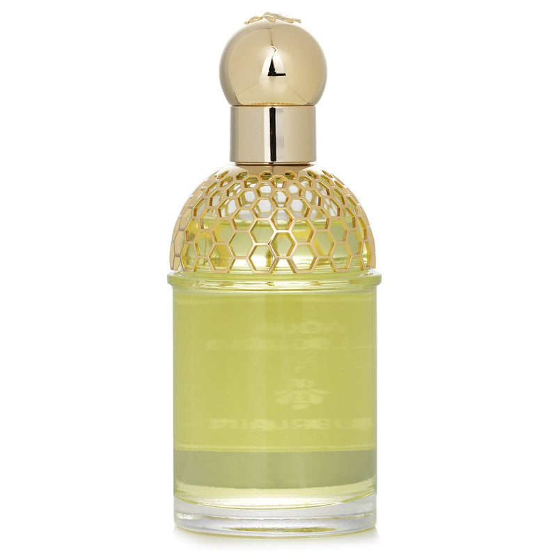 ゲラン  Aqua Allegoria Forte Nerolia Vetiver Eau De Parfum Spray   75ml/2.5oz