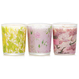 キャンドル・キャロル&チャン  3 Votive Set: Sakura, Jasmine, Rose & Cranberry, Ginger Lily   3pcs
