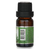 キャンドル・キャロル&チャン  Fragrance Oil - # Tropical Forest   10ml/0.3oz