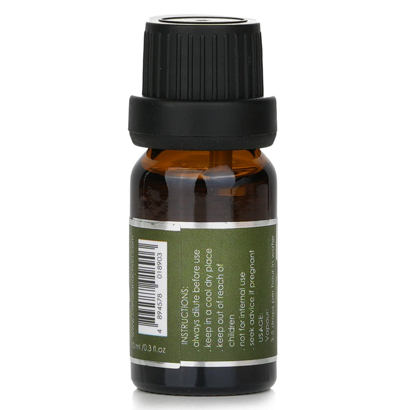 キャンドル・キャロル&チャン  Fragrance Oil - # Rosal   10ml/0.3oz