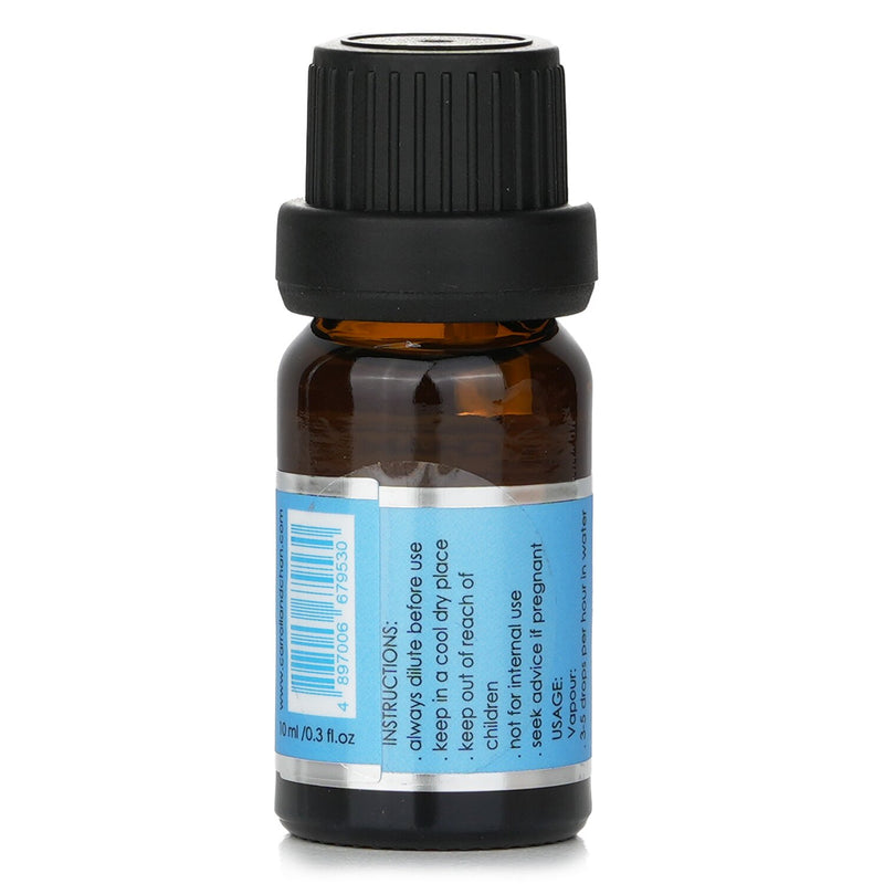 キャンドル・キャロル&チャン  Fragrance Oil - # Ocean Mist   10ml/0.3oz