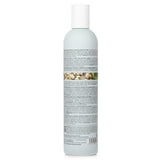 milk_shake  Normalizing Blend Shampoo   300ml/10.1oz