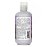 アールアンドシーオー  Sunset Blvd Daily Blonde Shampoo   241ml/8.5oz