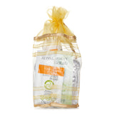 アリサアシュレー  Biolab Ginger & Curcuma Extract Body Lotion + Shower Gel + Massager   3pcs