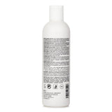 アリサアシュレー  Biolab Ginger & Curcuma Shower Gel   300ml/10oz