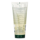 ルネ フルトレール  Triphasis Anti-Hair Loss Shampoo   200ml/6.7oz