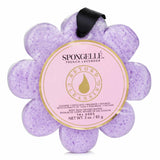 Spongelle  Wild flower Soap Sponge - French Lavender (Purple)   1pc