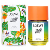ロエベ  Paula's Ibiza Eclectic Eau De Toilette Spray   100ml/3.4 oz
