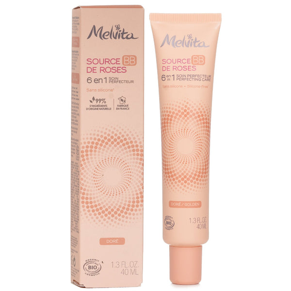 メルヴィータ  Source De Roses BB 6 in 1 Perfecting Care - # Golden   40ml/1.3oz