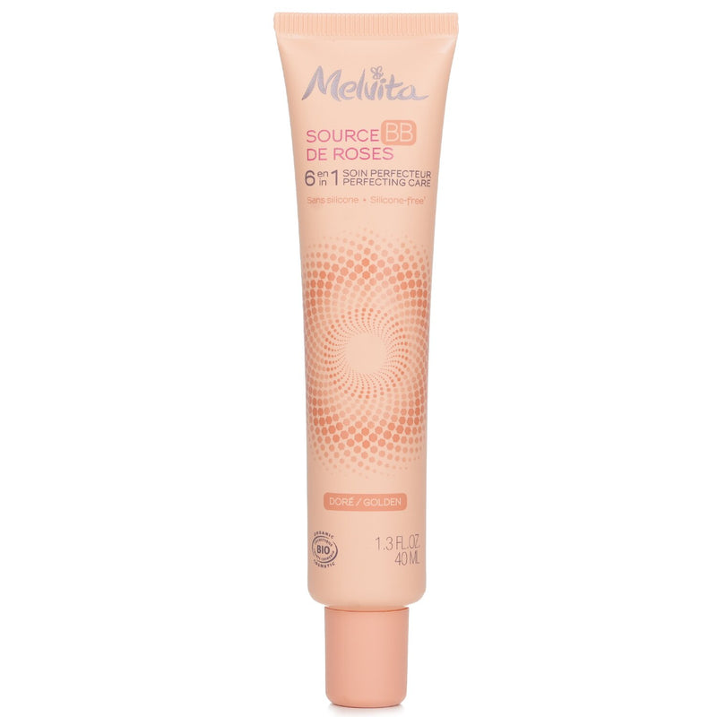 メルヴィータ  Source De Roses BB 6 in 1 Perfecting Care - # Golden   40ml/1.3oz