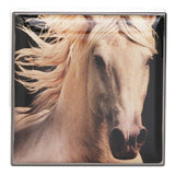 シャンテカイユ  Matte Eye Shade - # Palomino   2.5g/0.08oz