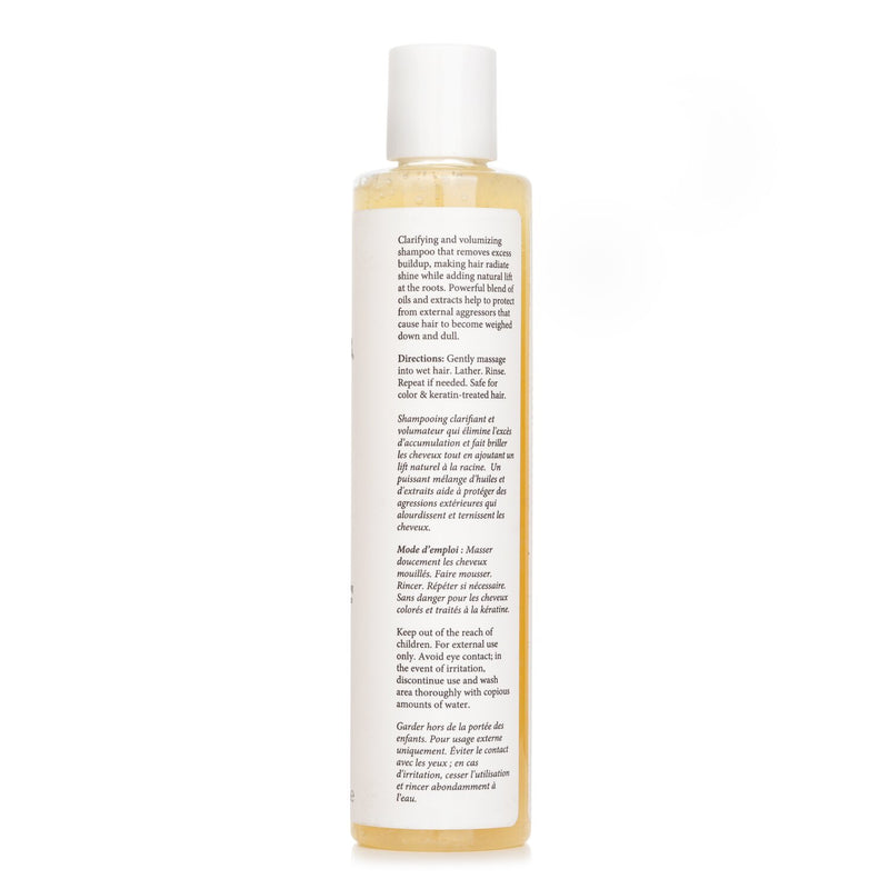 フィリップ B  Everyday Beautiful Shampoo   220ml