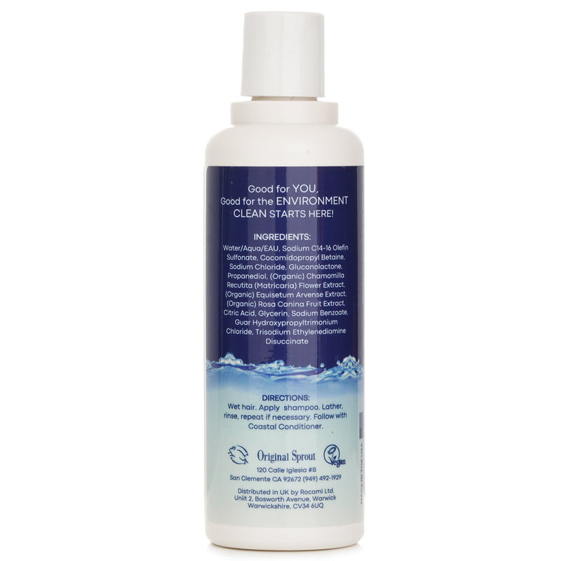 オリジナル スプラウト  Coastal Collection Fragrance Free Shampoo   236ml/8oz