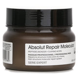 ロレアル  Serie Expert Absolut Repair Molecular Mask   250ml