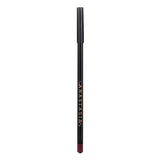 アナスタシア ビバリーヒルズ  Lip Liner - # Raisin   1.49g