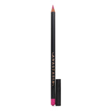 アナスタシア ビバリーヒルズ  Lip Liner - # Rose Dream   1.49g