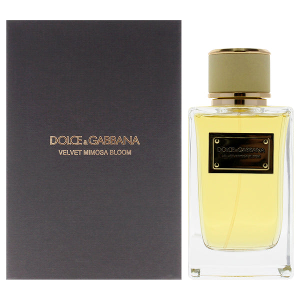 Dolce & Gabbana Velvet Mimosa Bloom by Dolce and Gabbana for Women - 5 oz EDP Spray