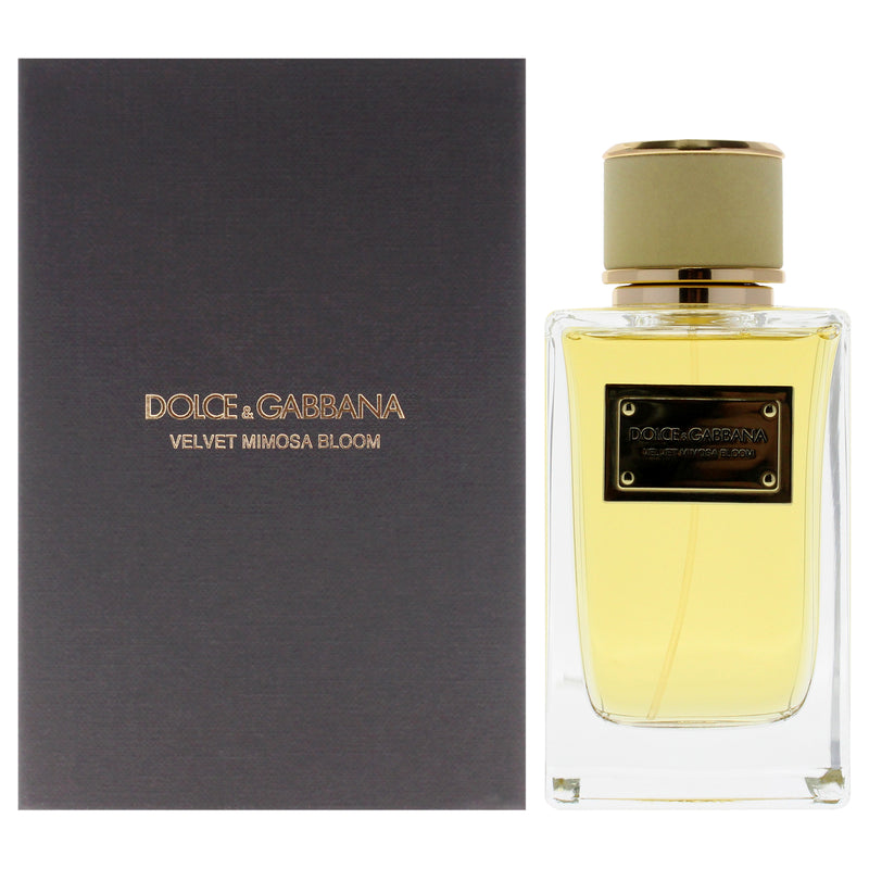 Dolce & Gabbana Velvet Mimosa Bloom by Dolce and Gabbana for Women - 5 oz EDP Spray