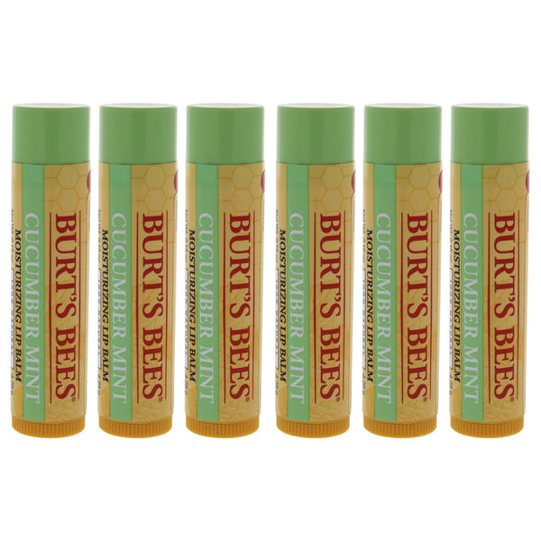 Burt's Bees Cucumber Mint Moisturizing Lip Balm by Burts Bees for Women - 0.15 oz Lip Balm - Pack of 6