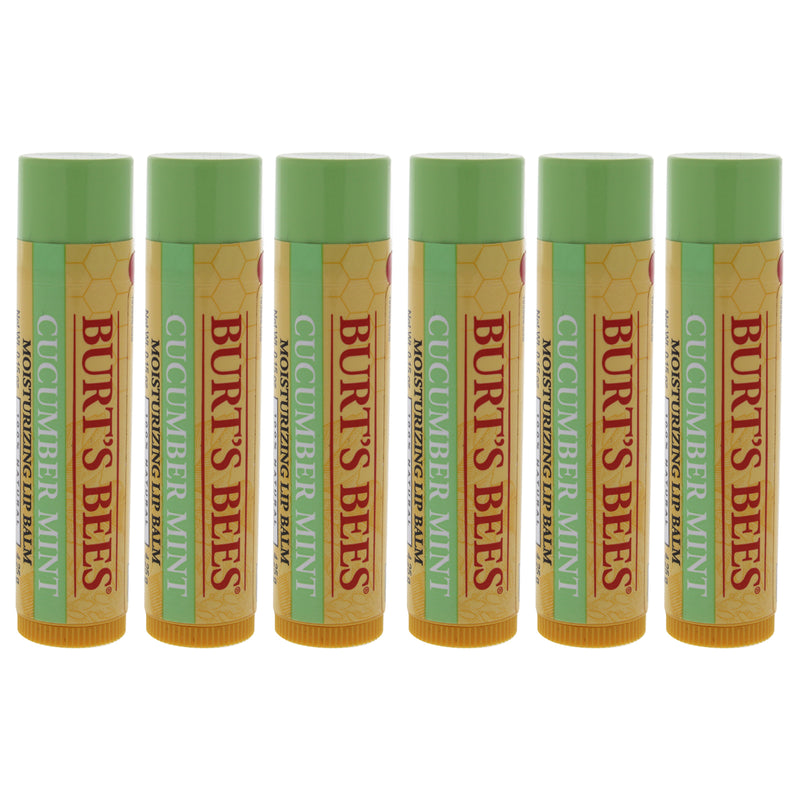 Burt's Bees Cucumber Mint Moisturizing Lip Balm by Burts Bees for Women - 0.15 oz Lip Balm - Pack of 6