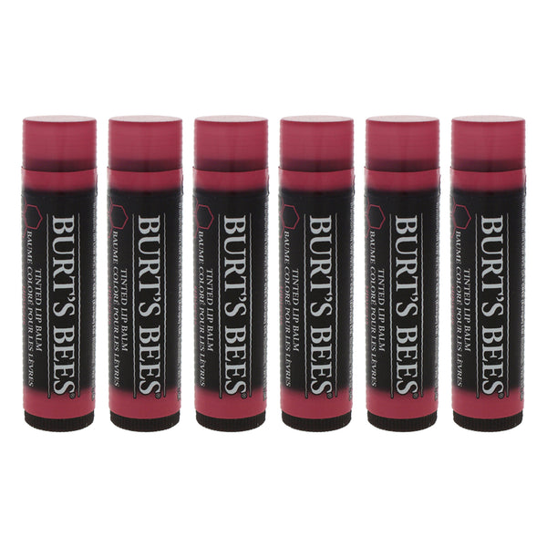 Burt's Bees Tinted Lip Balm - Hibiscus by Burts Bees for Unisex - 0.15 oz Lip Balm - Pack of 6