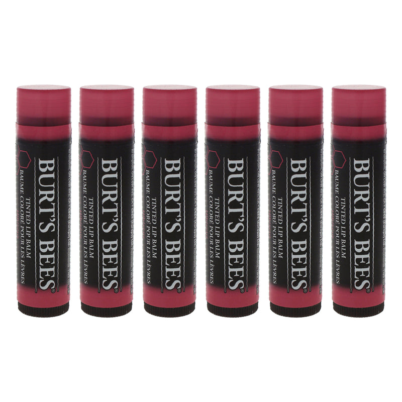 Burt's Bees Tinted Lip Balm - Hibiscus by Burts Bees for Unisex - 0.15 oz Lip Balm - Pack of 6