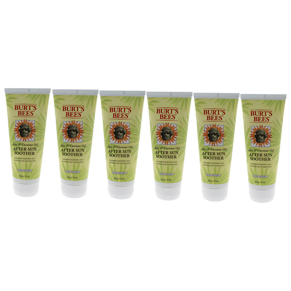 Burt's Bees Aloe & Coconut Oil After Sun Soother by Burts Bees for Unisex - 6 oz Oil - Pack of 6