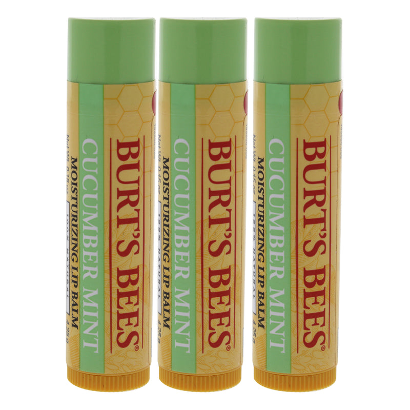 Burt's Bees Cucumber Mint Moisturizing Lip Balm by Burts Bees for Women - 0.15 oz Lip Balm - Pack of 3